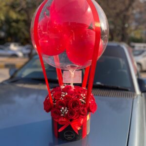 Ballon Box