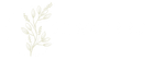 fanciees.com